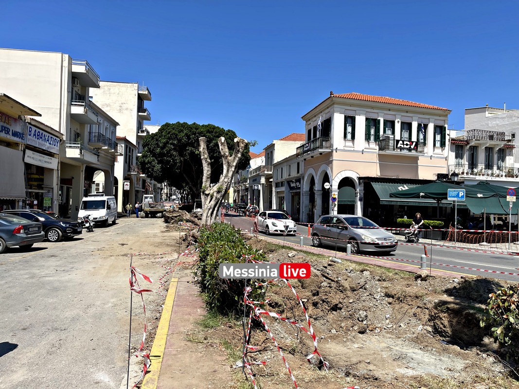 δεντρα image00011