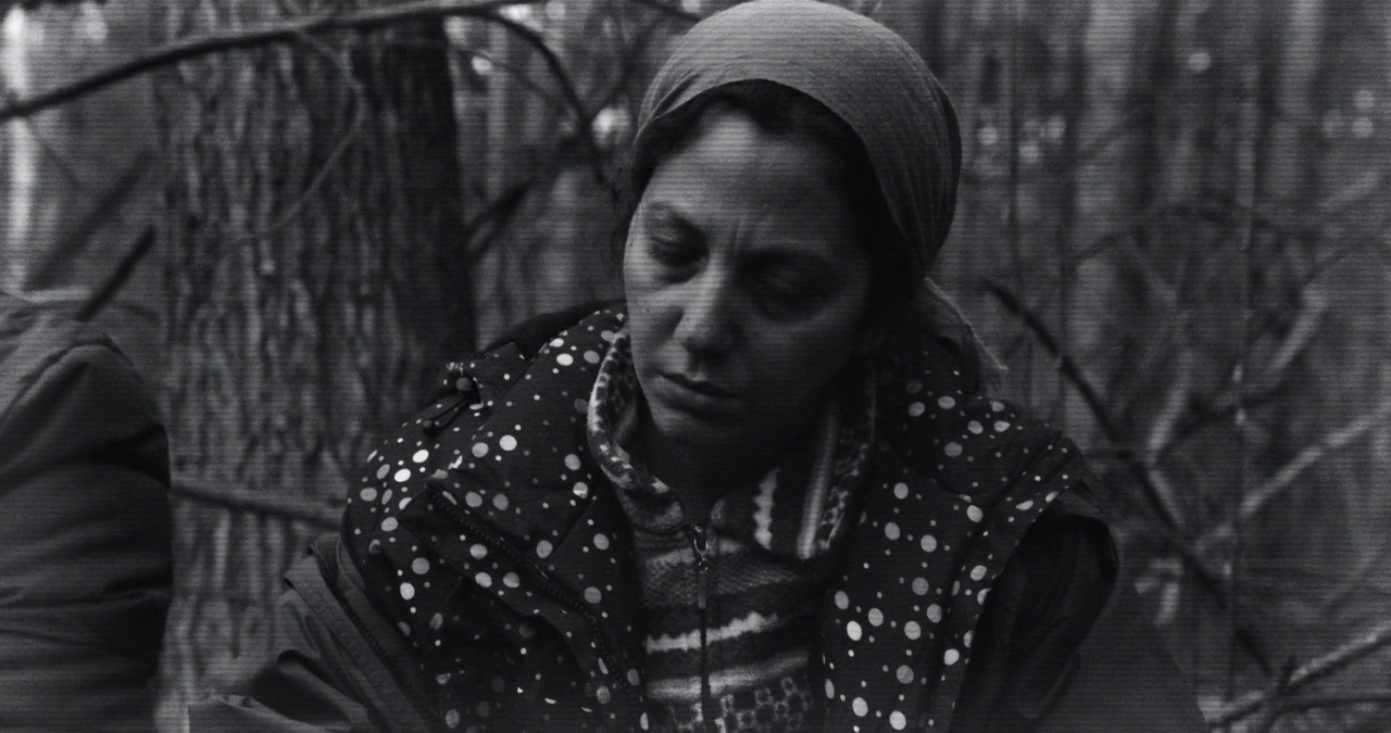 vlcsnap-2024-11-23-10h17m30s536