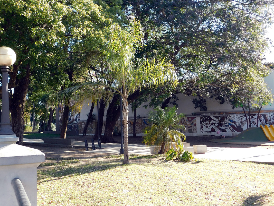 DSCN0547.jpg