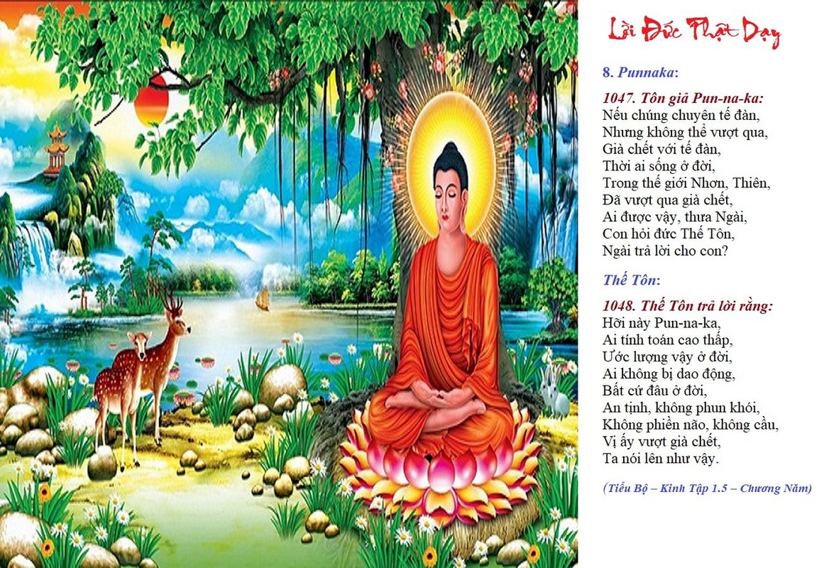 10 - LD của ĐỨC PHẬT TBK- 1