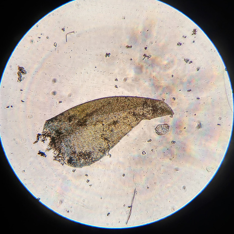 IMG 20250616 215723 HDR