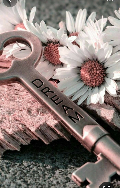 Screenshot_20240330_234900_Pinterest