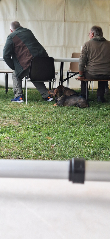 [Image: 20251005-133837.jpg]