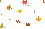 111118103245324872