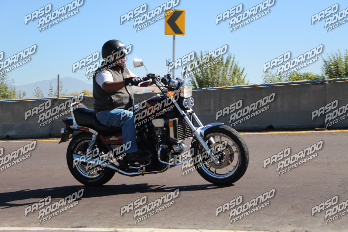 IMG 3344 wm 9838204 899999999 watermarked — Postimages