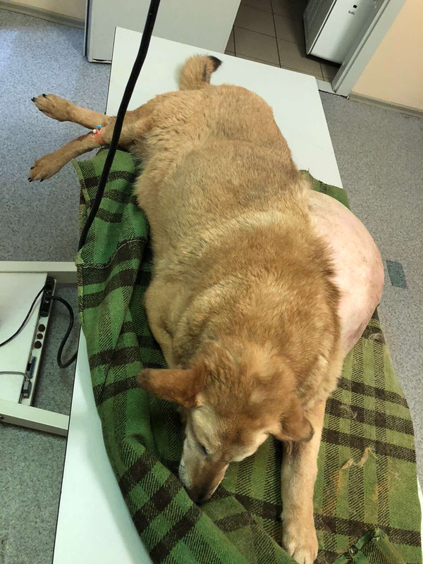 E56EDC13-2F95-4F9B-9053-8EEF2448D6C3