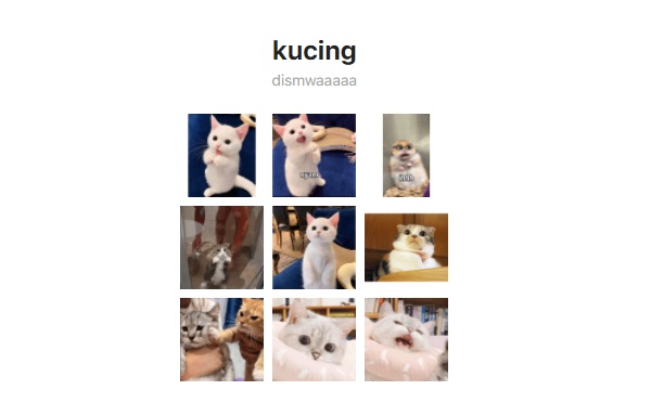 Stiker bergerak WA Kucing