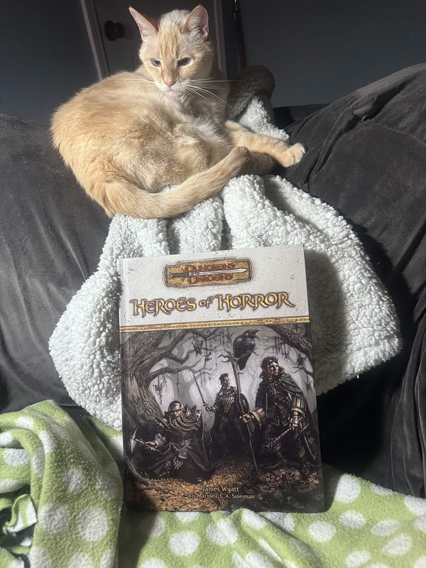 White cat sitting above a copy of Heroes of Horror