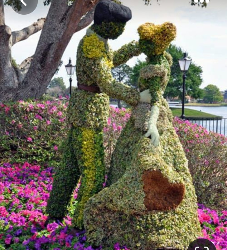 Screenshot_20230327_223609_Pinterest