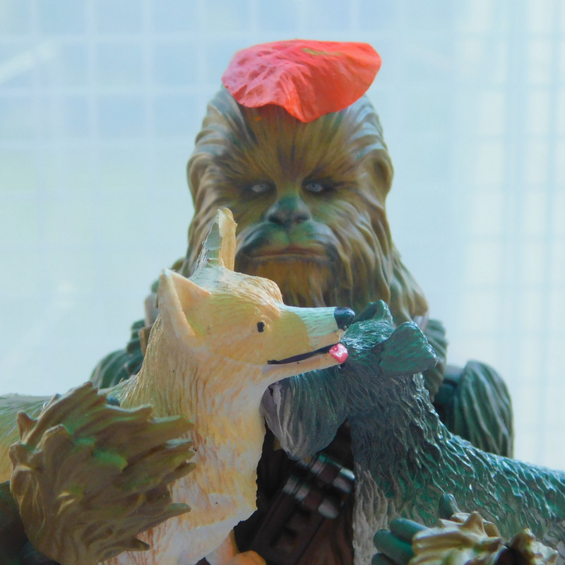 Дачно-Харлинский июнь-июль 2024 422