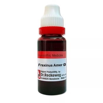 Dr. Reckeweg Fraxinus Americana 1X (Q) (20ml)