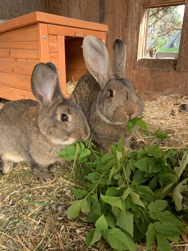 82D3B195-08A0-42C0-A2A1-EE2516AFF858