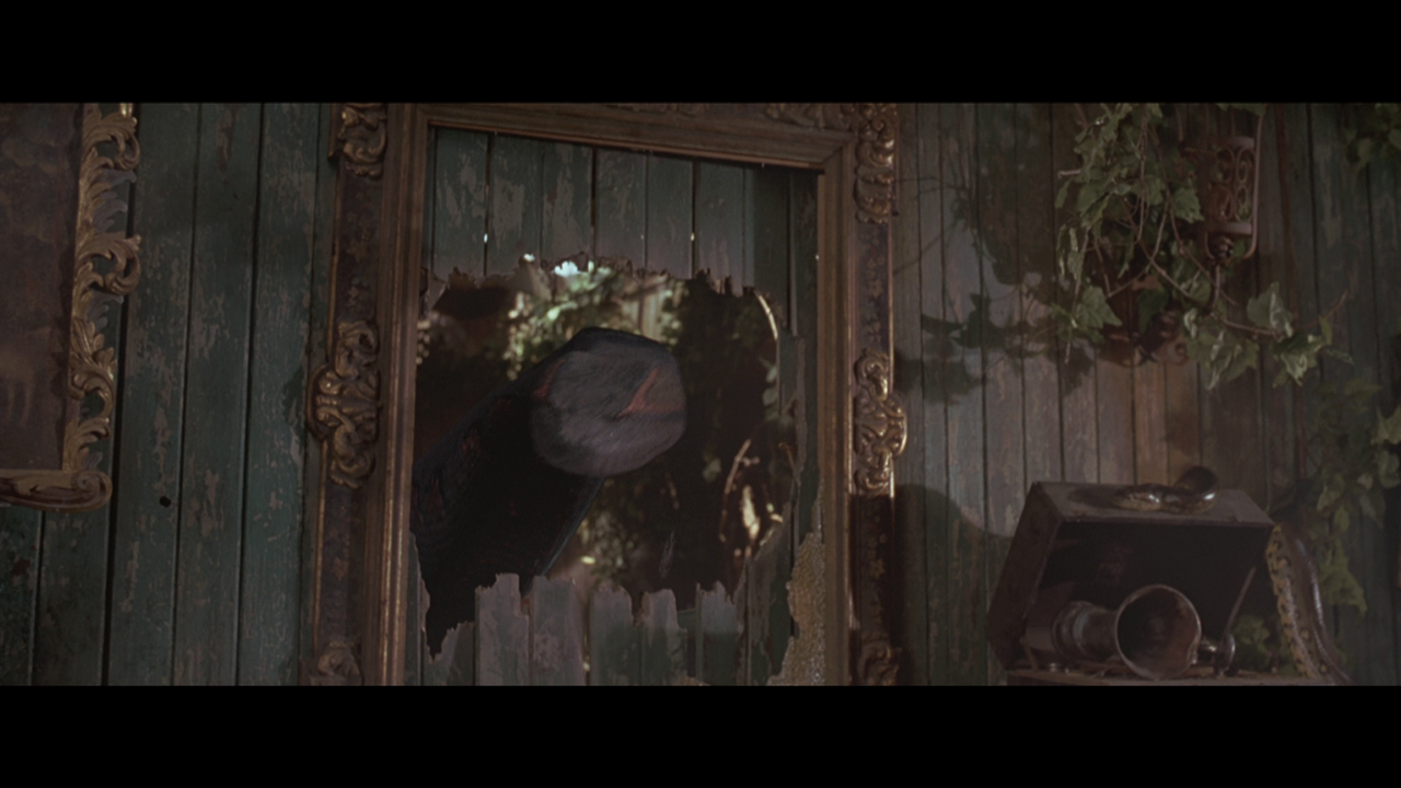 vlcsnap-2023-01-17-19h57m58s022