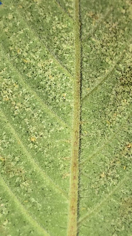 58EF3F3D-440D-43FB-8F90-6AA46E1A766E