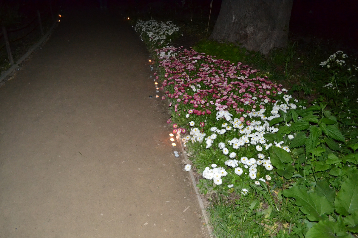 DSC_0543 свечи вдоль дорожки