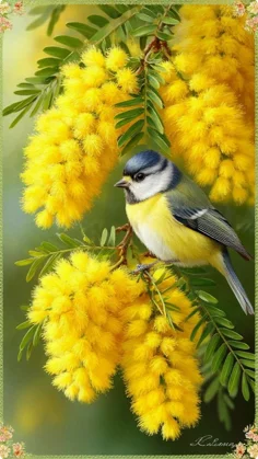 4a6e70006a93ccf143b0bd50e86ff7f4
