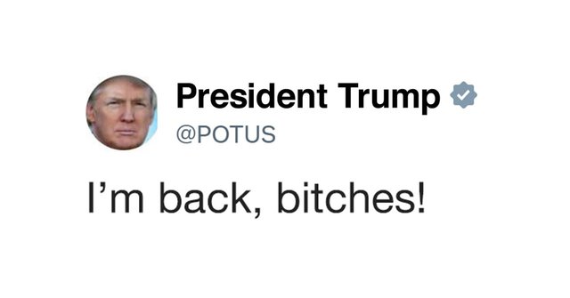 https://i.postimg.cc/xjy6HpNG/IMG-1877.jpg