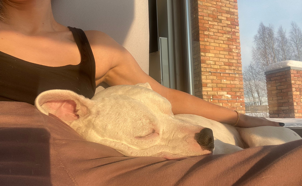 95CBC4AD-CFC9-4D18-9CEB-C4D8A17CE6C4