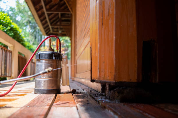 General pest control treatment