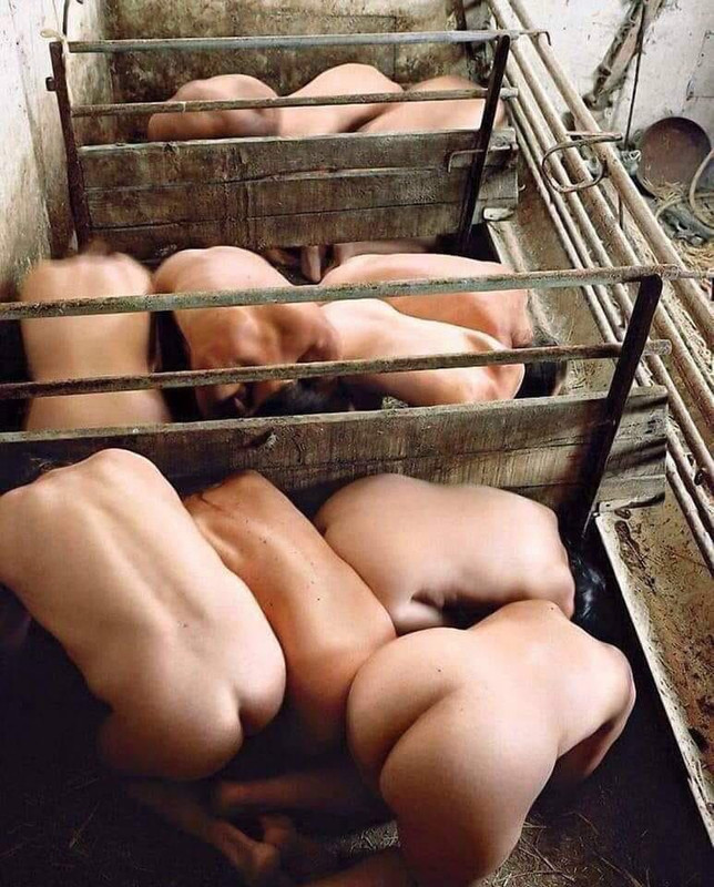 34D1FFDC-C2CA-4A25-9BC8-3C9B817BBB75