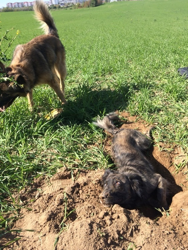 52A8663B-4BFE-4F17-A663-24B146D236E2