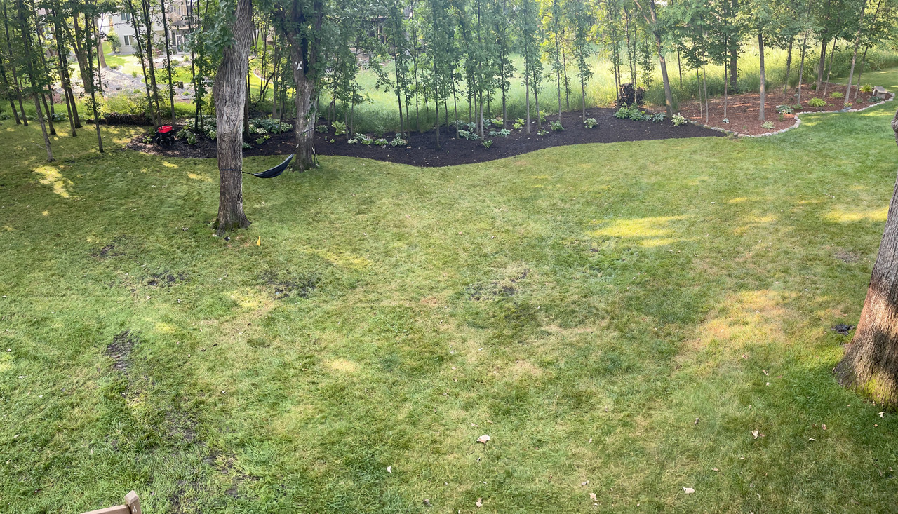 E5F0C2EA-48E4-4177-9A75-1606B89DC306