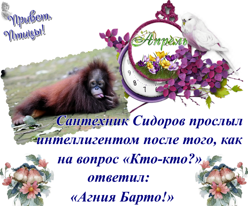 https://i.postimg.cc/xjzHMx5f/19-04.png