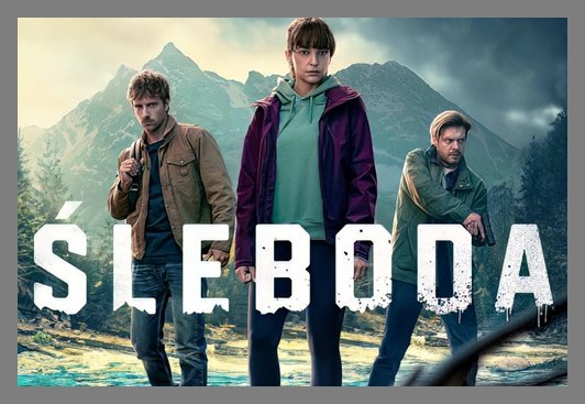 176946313871915301161426676526