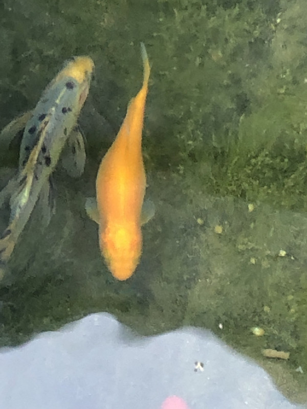 81B57AA3-AB1A-4D26-82E3-D38E10A6AF83