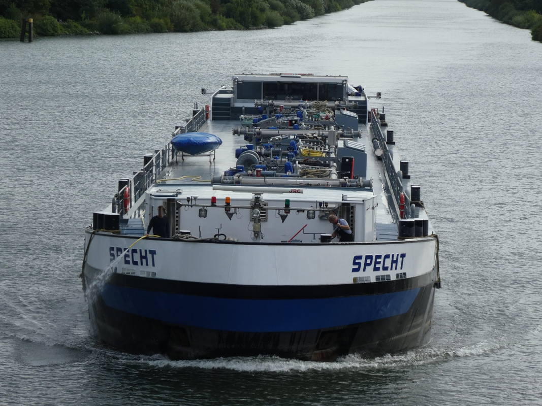 2020.08.28c Specht (1280x960)