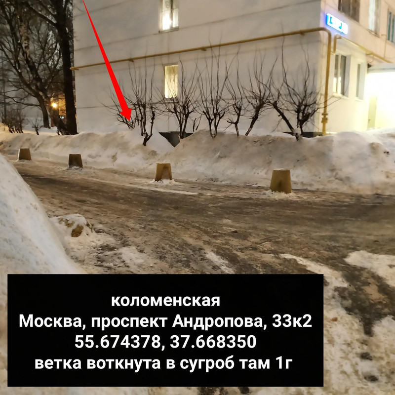 i Markup 20260226 233306