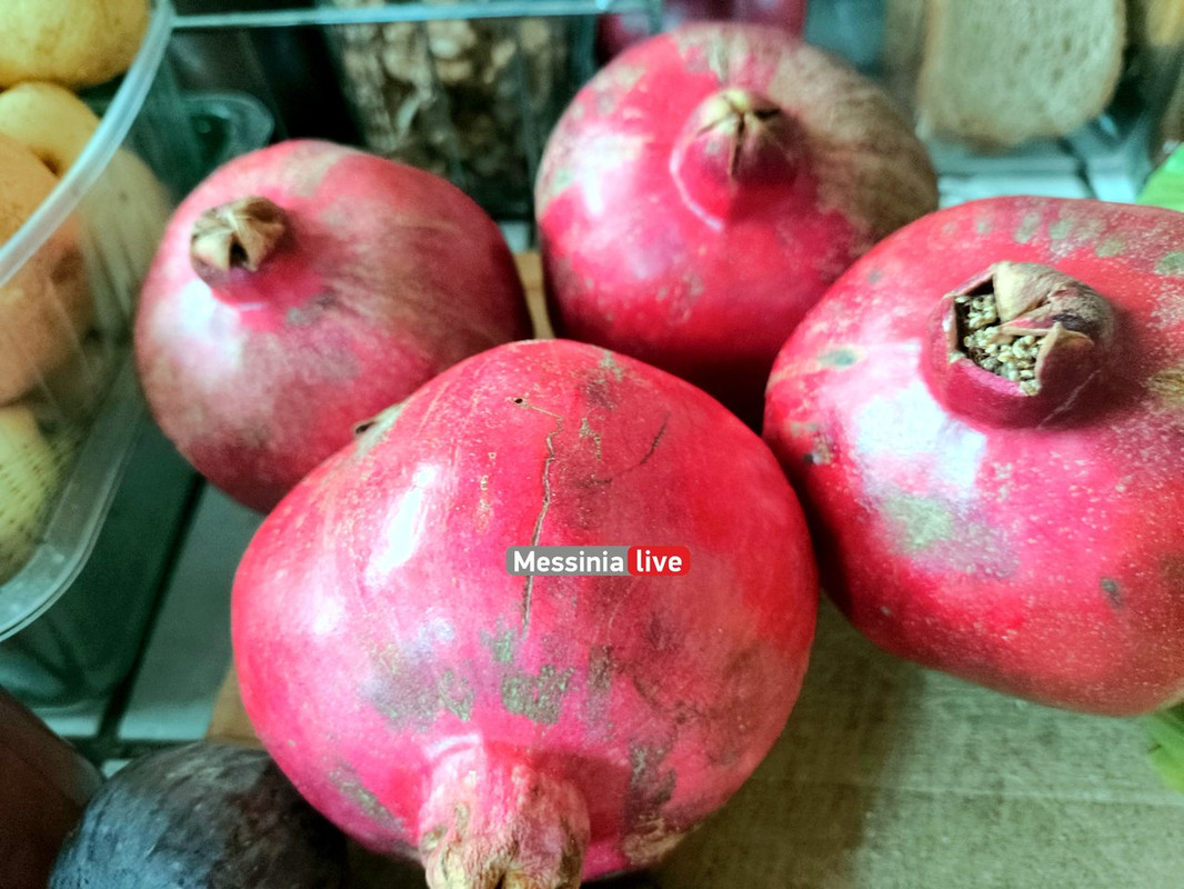 LADASIMG-20251012-161935