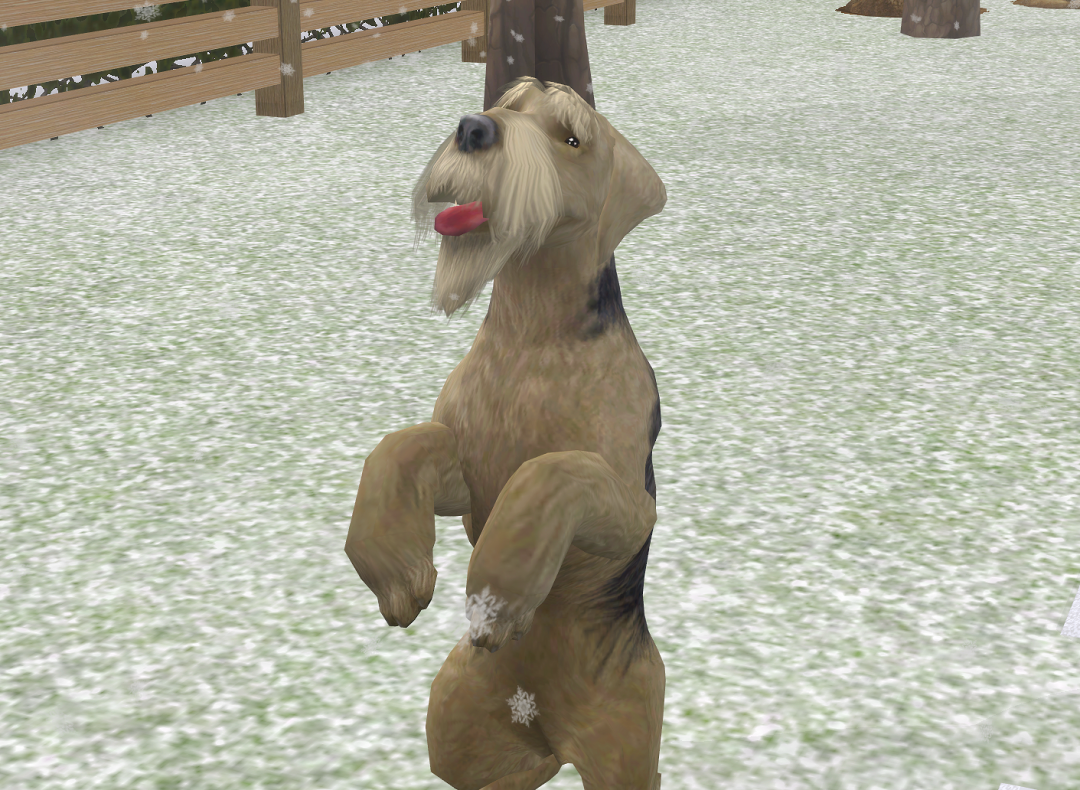 ksnip-20250620-200656