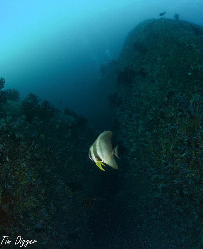 Thailand small-267675