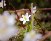 29,1 - De la couleur pour la bonne humeur
