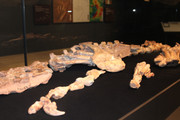 IMG-0743