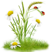 0-175c5b-8078724c-orig