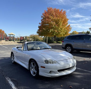 [Immagine: 571767506-10162459878223870-8551189419896705783-n.jpg]