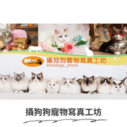 攝狗狗寵物寫真工作坊
