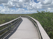 Everglades 3
