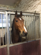 Einzelbox mit Fenster RSAR IMG_2131