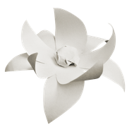 Winter-White-Elements-187