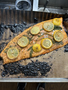 [Image: IMG-5059.jpg]