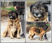 Be-Funky-collage-19.jpg&key=f9ddf96c57c6