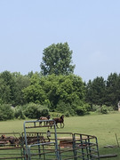 6B4AB196-7D57-4143-A6F0-8D4BD42FEE1A