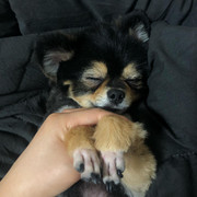 2019-06-22 03.08.35 2071802416656568747_1494694790