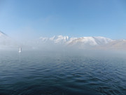 [Image: P1090745-2.jpg]