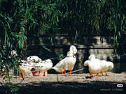 photo 7 2025 12 12 16 30 14