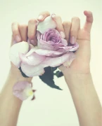 5-jpg-d782c1e29459ecbb8a52f6c1f187d15e