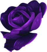 MVDLavender-Love-082